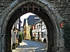 Erpel am Rhein - (c) E Rockstroh (bdm).jpg